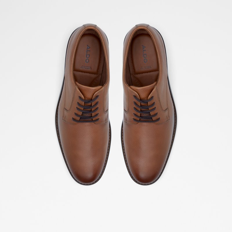 Aldo derby cipele HANFORD-W LEA SMOOTH - smeđa 5