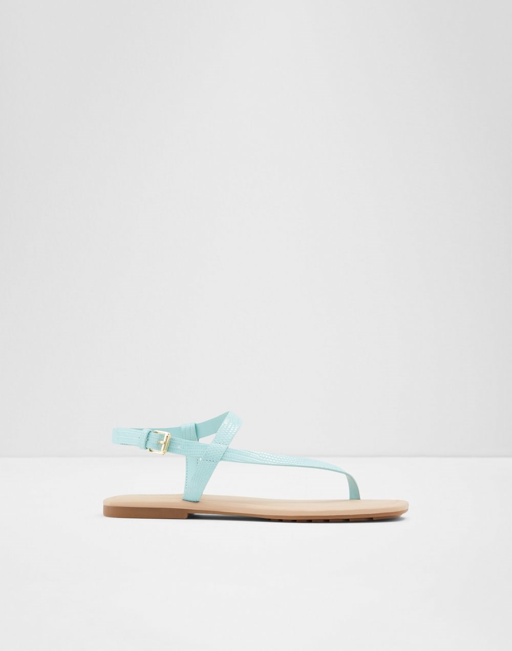 HOLTHUIS  SYN EMB LIZARD