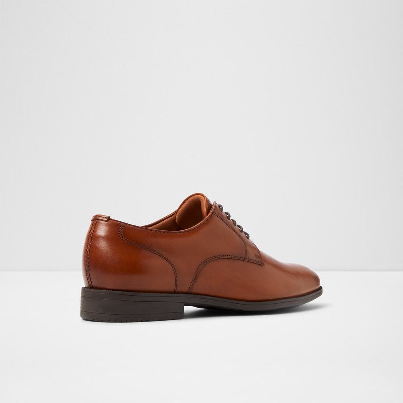 Aldo derby cipele INTANJAY-IN LEA SMOOTH - smeđa 2