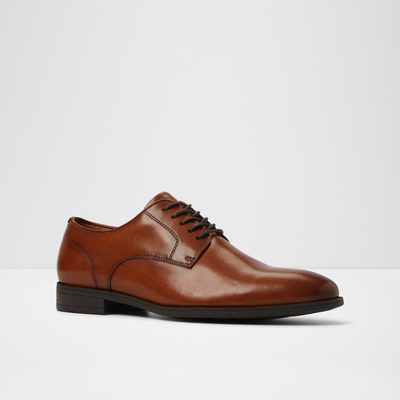 Aldo derby cipele INTANJAY-IN LEA SMOOTH - smeđa 3