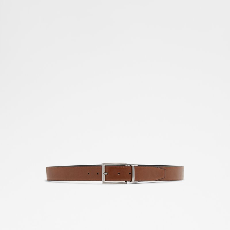 Aldo remeni LARIERIEN BELT MENS - crna 2