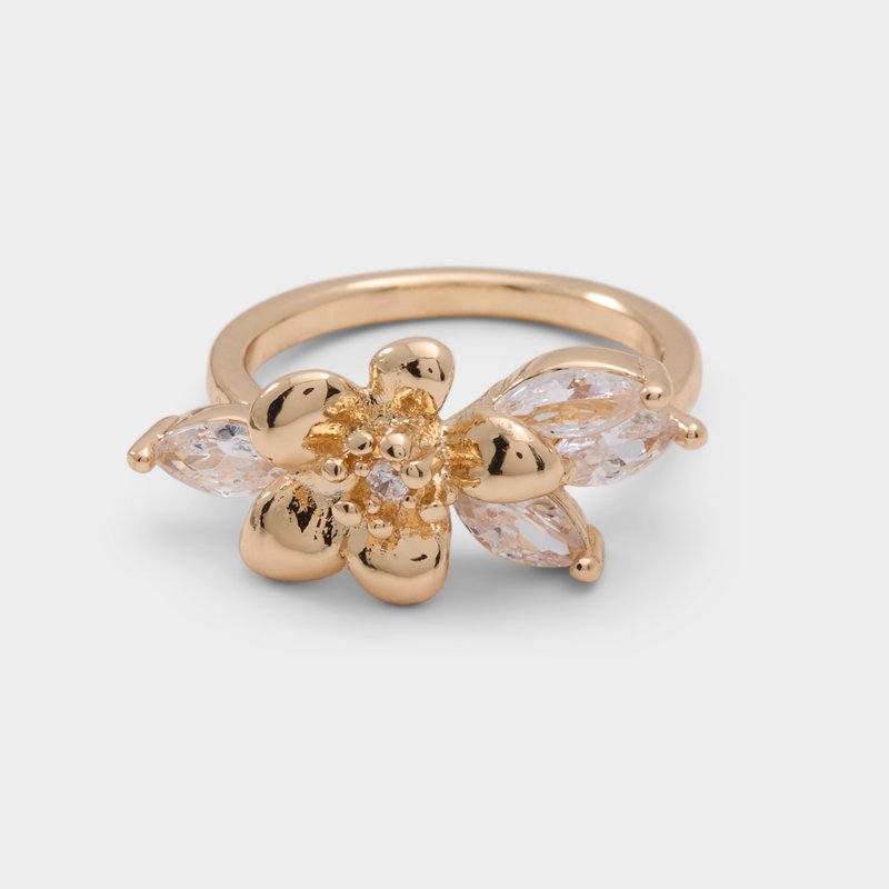 Aldo prsten MARGOTT - multicolor 1